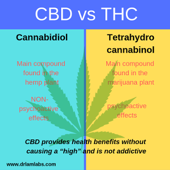 CBD vs THC drlamlabs