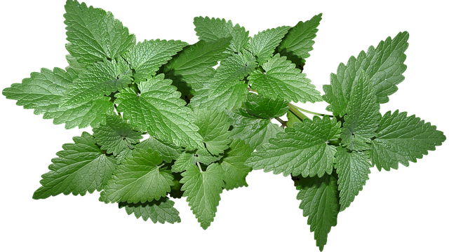 menthol cbd